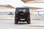 Mercedes-AMG G65 Final Edition 2018 года (WW)